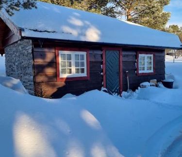 Dovre House | Koslig hytte ved Grimsdalen