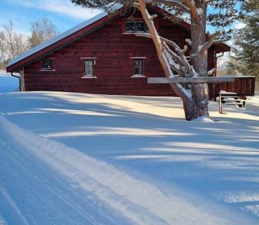 Dovre House | Koslig hytte ved Grimsdalen