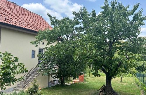 Mladenovac Apartment | Kosmaj Ruža vetrova