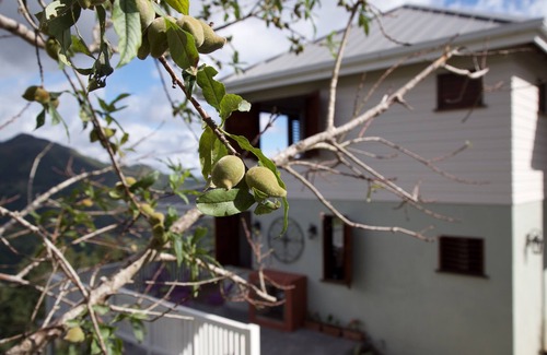 Newcastle House | Kotchin Villa