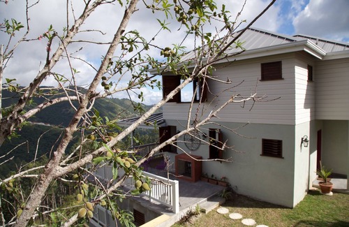 Newcastle House | Kotchin Villa