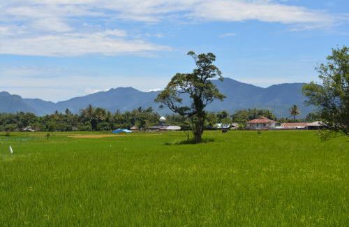 Sumatra House | Koto Hilalang Homestay