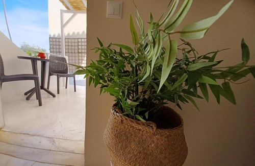 Scala House | Koukounari 2 Rooms