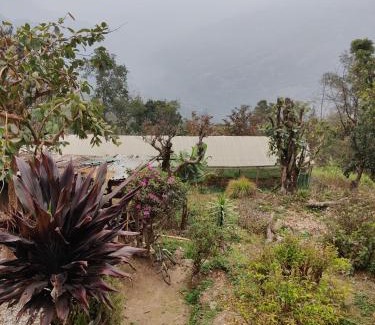 Pedong House | Kousani Naranga Farmstay-Kagey