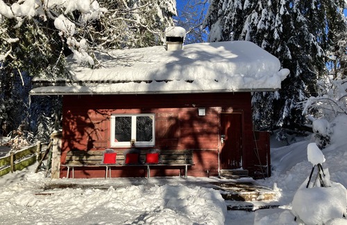 Sibratsgfaell Cabin | Krähenberg mountain hut on the edge of the wilderness