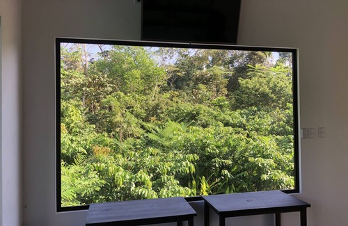 Agujas House | Kraken Cabin-escape in the jungle, abundance of wildlife, walk to Golfito Bay.