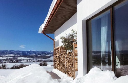 Dzvynyach Cabin | KRAYKA house