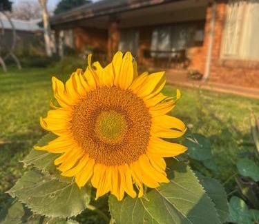 Alldays House | Kremetart Villa