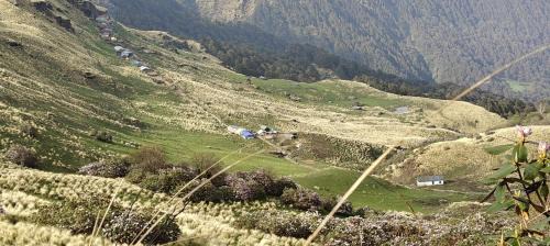 Chamoli House | Krishna Home Stay