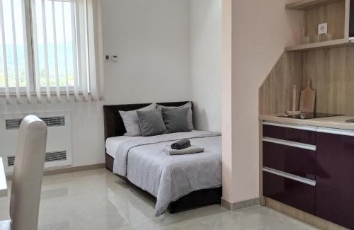 Zdrelo House | Kristal Apartmani - Banja Ždrelo