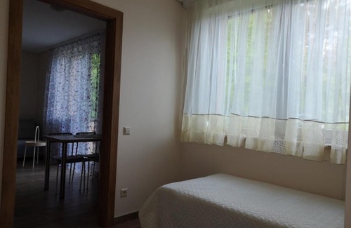 Druskininkai Apartment | Kristinos apartment