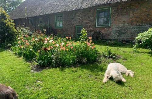 Witzwort House | Kruemelkate