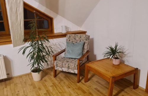 Hof Redentin Apartment | Krusenhagen Apartment with Garden