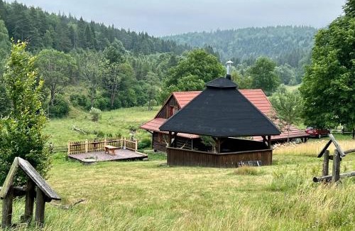 Regietow House | Krzywa 19