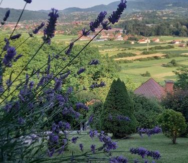 Donja Stubica House | Kuća Za Odmor Barbara