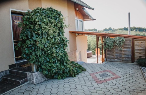 Donji Koncovcak House | Kuća za odmor Nina
