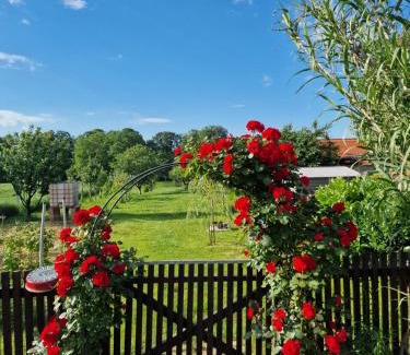 Karanac Villa | Kuća za odmor Mali Princ