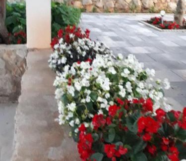 Necujam House | Kuća za odmor Neva