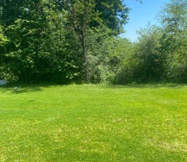 Babe House | Kućica u šumici