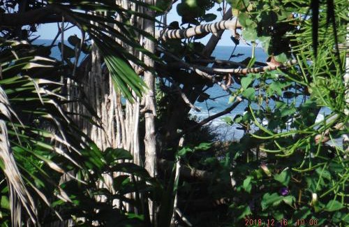 Treasure Beach House | KuDehya Guesthouse