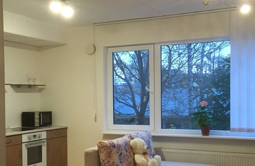 Mustamae Apartment | Kuklase 14 Apartment, private parking available