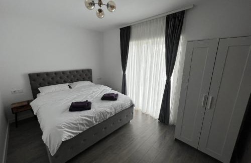 Bailesti Apartment | Kul House - Cazare