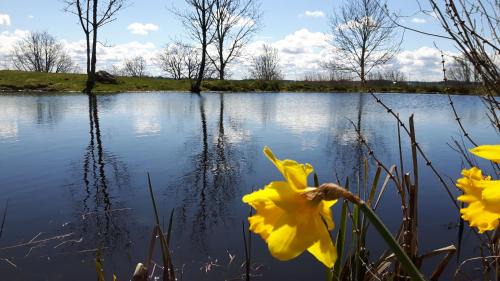 Lidkoping Bed & Breakfast | Kullens Bed and Breakfast