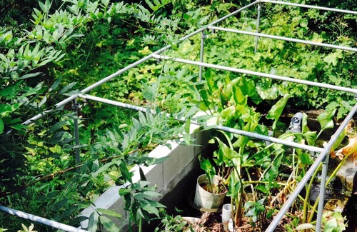 Higashi Ward House | Kumamoto Farm Stay Guest Room 1F/Kamimashiki-gun Kumamoto