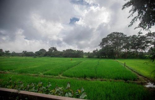 Kimbissa House | Kumbura Homestay