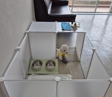 Goseong-gun Hotel | Kumgangsan Condo Sokcho
