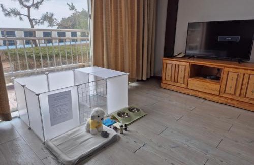 Goseong-gun Hotel | Kumgangsan Condo Sokcho