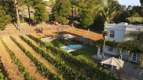 Koelenhof Villa | Kunjani Villas