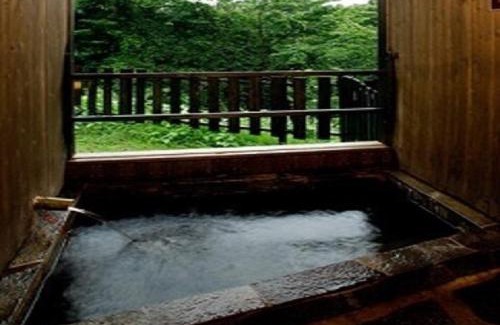 Kokonoe Hotel | Kusu-gun - Hotel/Vacation STAY 51013