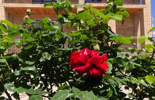 Cholpon-Ata House | Kutman-Ordo