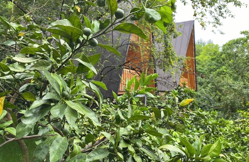 Kobuleti Villa | Kvirike Gardens