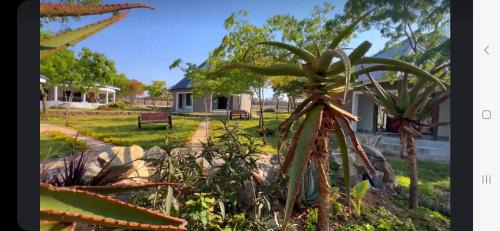 Chirumhanzu Cabin | KwaMahla Village Resort