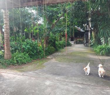 Mae Chaem House | kwanlah homestay