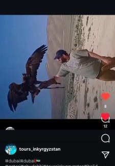 Bokonbayevo Bed & Breakfast | Kyal travel