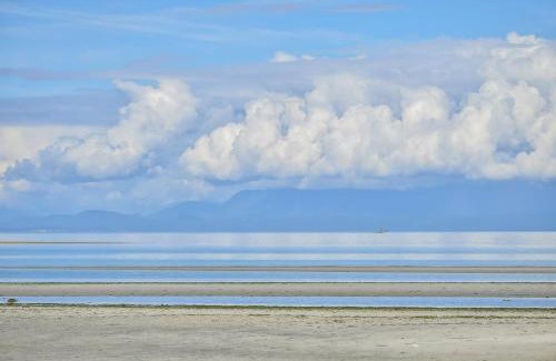 Comox House | Kye Bay Winter Beach House