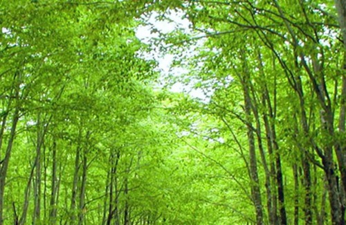 Senboku Hotel | Kyukamura Nyuto-Onsenkyo