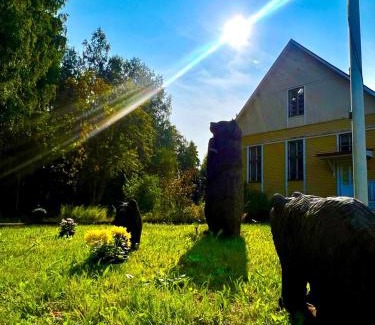 Tiainen House | Kyyronkaita