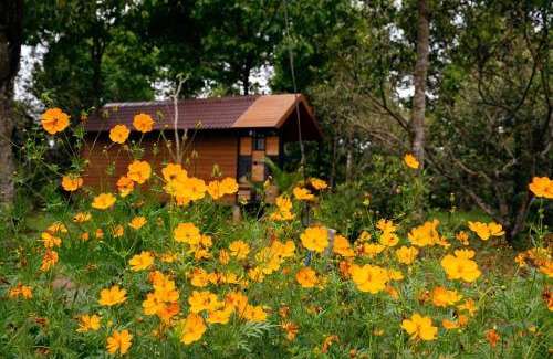 Cam My House | Làng Trường Thọ Farmstay