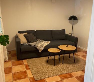 Skivarp Apartment | Lägenhet Söder om Landsvägen D