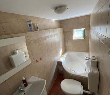 Vlahita Apartment | Léda Guesthouse 1 Szentegyháza