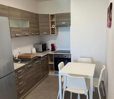 Nyiregyhaza Apartment | Léza Apartman