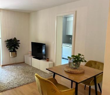 Lucerne Apartment | Löwen