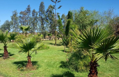 Ain Tizgha House | L'échappée belle Benslimane