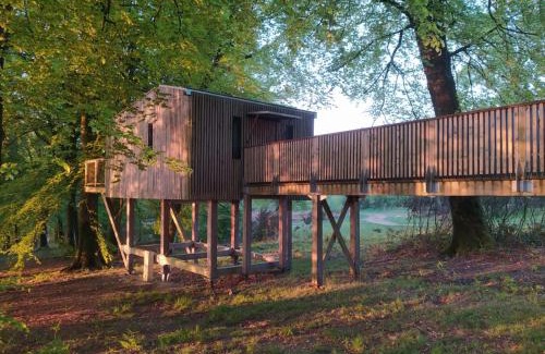 Noues de Sienne Cabin | L'étape en forêt