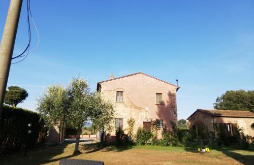 Vada Apartment | L'Aia degli olivi