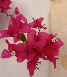 Belpasso Bed & Breakfast | L'Alloggio dell'Artista